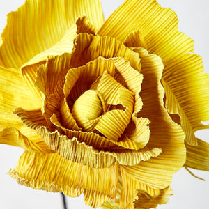 Fleur de Jacqueline jaune