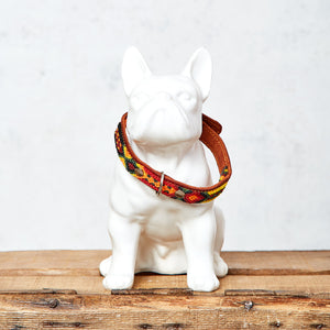 Small dog collar
