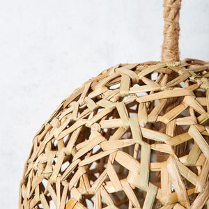 Bola model palm ceiling lamp